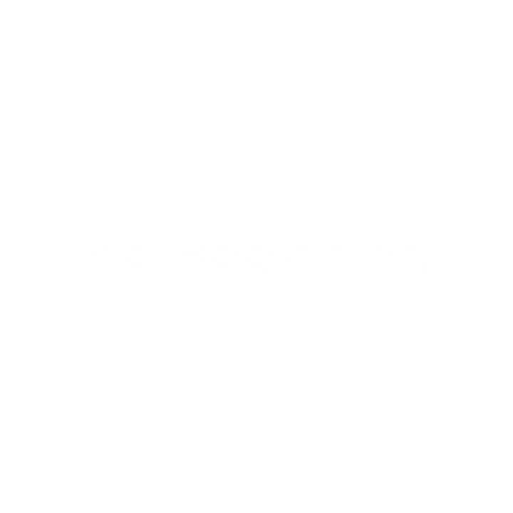 The beginning